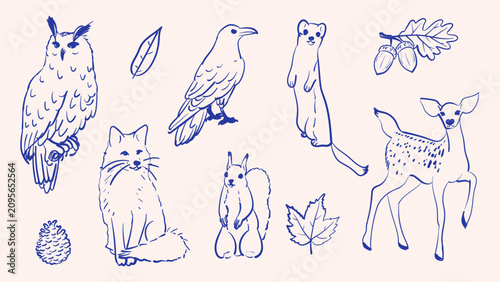 Vector set of hand drawn blue pen forest animals and autumn elements. Line art collection including deer fox owl squirrel weasel crow leaves acorns and pine cone sketches isolated on background for ch