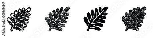 Foto A set of four distinct artistic interpretations of a fern frond, showcasing diff