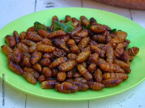 Fotografie Close-up of fried silkworm pupae, a popular traditional Thai snack rich in protein and commonly sold at local markets and street food stalls