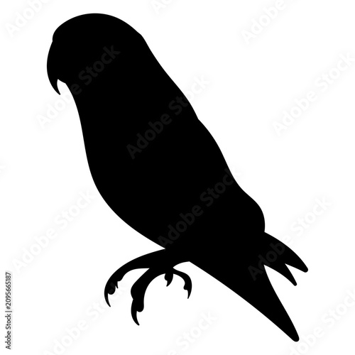 Parrot silhouette vector illustration. Exotic bird black icon for logo design and wildlife branding. Abstract tropical animal shape isolated for stencil, t-shirt print, minimalist poster, cutting
