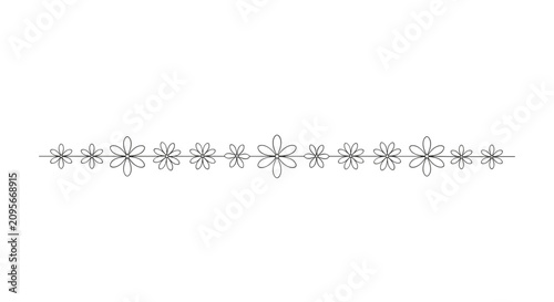 Minimalist horizontal line divider adorned with delicate hand drawn flower outlines of alternating sizes.