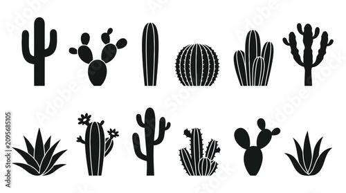 Photos Black cactus and succulent silhouettes on white