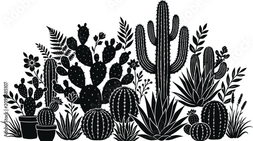 Foto Black cacti and succulent plants on white