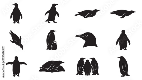 Photos Penguin Silhouette Vector Set