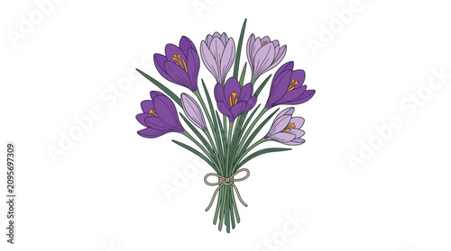 Canvas Print Bouquet of purple crocus flowers