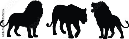 Photography Lion Silhouette Collection Set with Standing, Walking, and Roaring Big Cat Wildl
