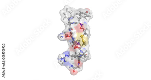 Bild auf Leinwand Desmopressin, antidiuretic and clotting regulation, drug, 3D molecule 4K