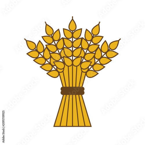 Quadro su tela Wheat sheaf icon, simple flat design illustration of golden wheat stalks tied wi