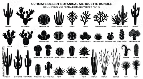 Εκτύπωση καμβά Desert cactus and succulent silhouettes
