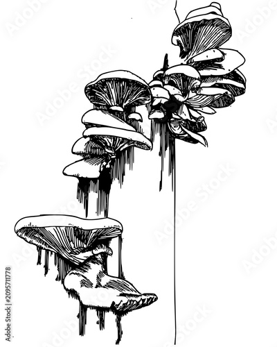 vector illustration of a chair