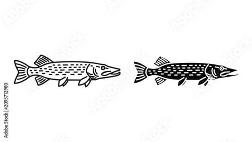 Obraz na plátně Northern pike fish icon set, vector illustration of predatory freshwater fish, i