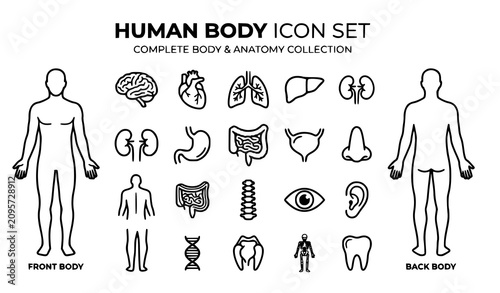 Fotografía Human body anatomy icon set with 25 organ outline symbols vector