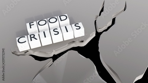 Cuadro en lienzo A 3D rendering of a row of white blocks arranged to spell the phrase FOOD CRISIS and a deep, jagged fault line or crack cuts through the ground, spreading outward