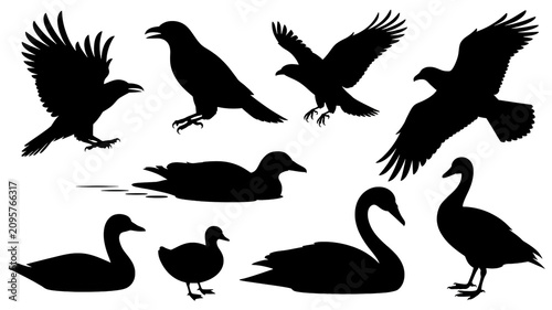 A collection of black silhouette illustrations of various birds in flight and standing.