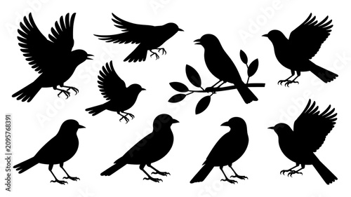A group of nine black birds perched on a branch and in flight on a white background.