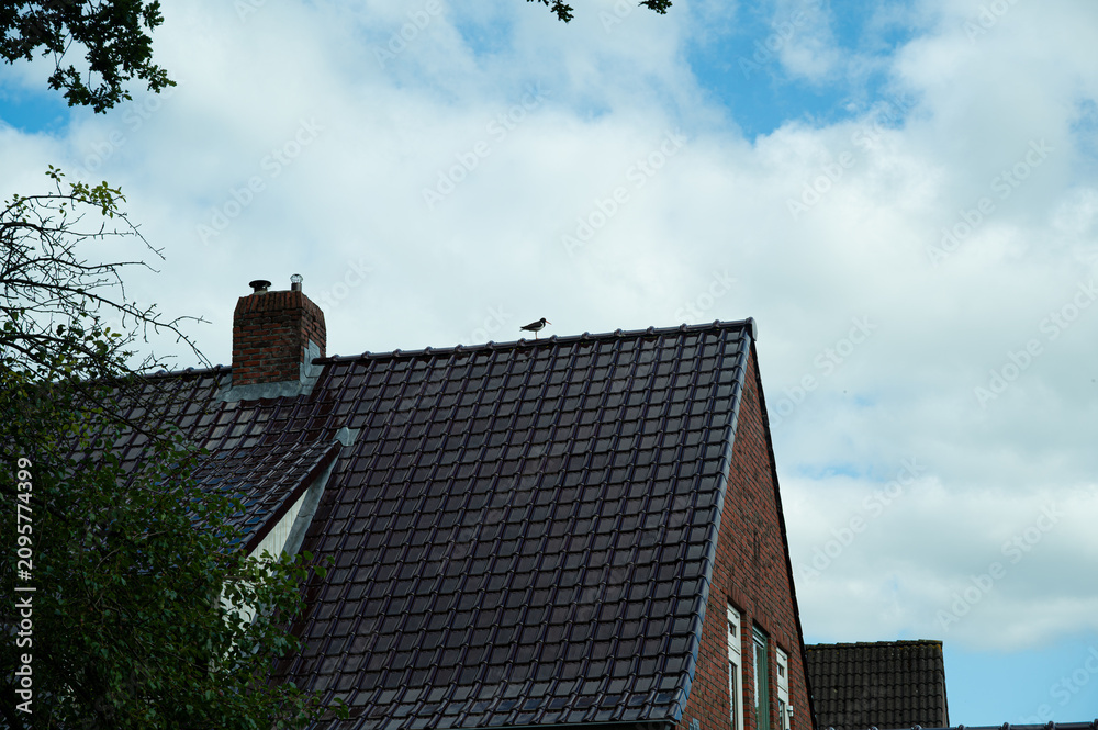 Obraz premium Silhouette of a roof with a Eurasian oystercatcher perched on top