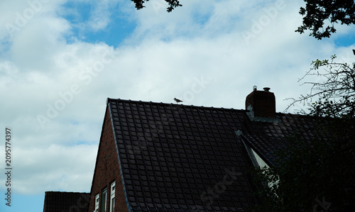 Tableau sur toile Silhouette of a roof with a Eurasian oystercatcher perched on top