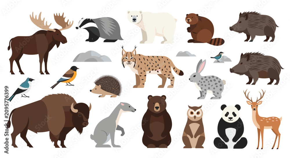 Obraz premium Forest wild animals set featuring moose, bear, lynx, beaver, hedgehog, and other woodland fauna on a white background.