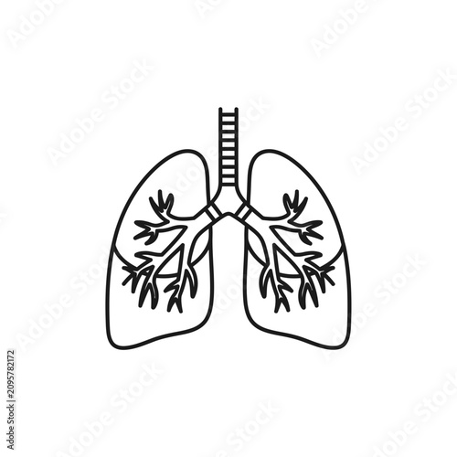 Human lungs anatomy line art icon on white background