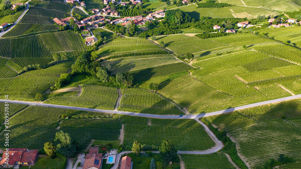 Obraz premium Aerial View of Rolling Green Vineyards and Countryside Village in Italy