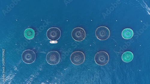 Aerial top view of circular aquaculture fish farm cages arranged in rows in blue open ocean water, with a service vessel navigating between net pens in a sustainable seafood operation