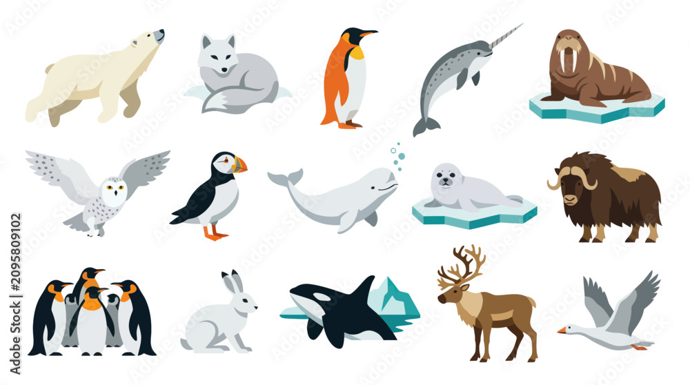 Obraz premium Arctic and Polar Animals Flat Vector Set. Cute Cartoon Wildlife Illustrations for Education Nature Projects