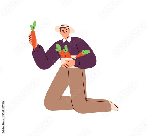 Farmer gathers carrots into basket. Farm worker picks up natural vegetables and organic agricultural crops. Happy man collects autumn harvest. Flat isolated vector illustration on white background