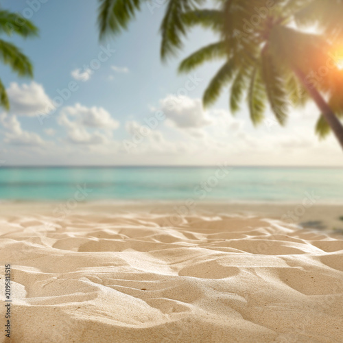 Sandy beach with palm tree and copy space – tropical summer product background