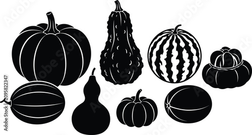 Cuadro en lienzo Set of black silhouettes featuring various pumpkins and gourds for autumn and Th