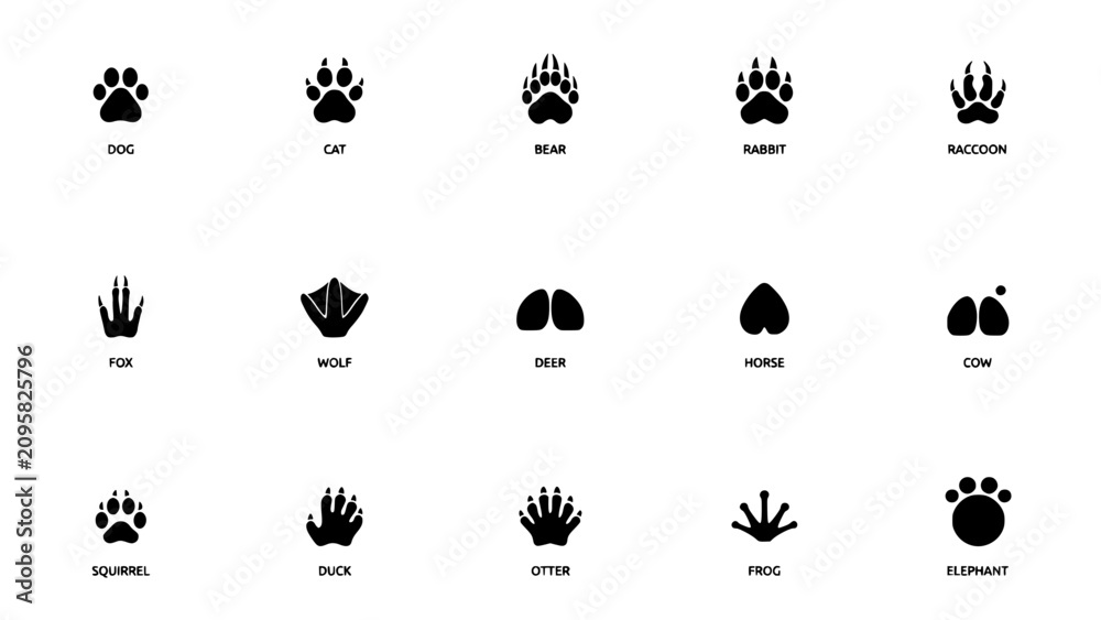 Fototapeta premium Animal Paw Prints and Footprints Illustration Set with Dog, Cat, Bear, Rabbit, Raccoon, Fox, Wolf, Deer, Horse, Cow, Squirrel, Duck, Otter, Frog