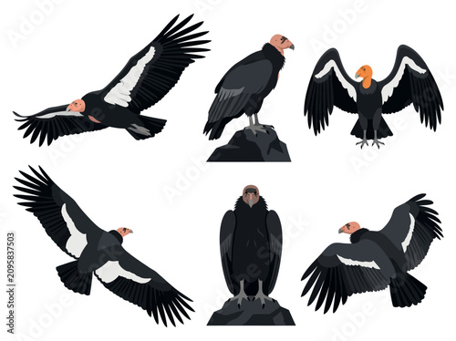 A collection of California condors depicted in various poses including flying and perched on rocks.