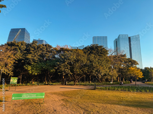 Parque do Povo, Park in Sao Paulo with the modern skyline of Villa Olympia. Sao Paulo, Brazil.