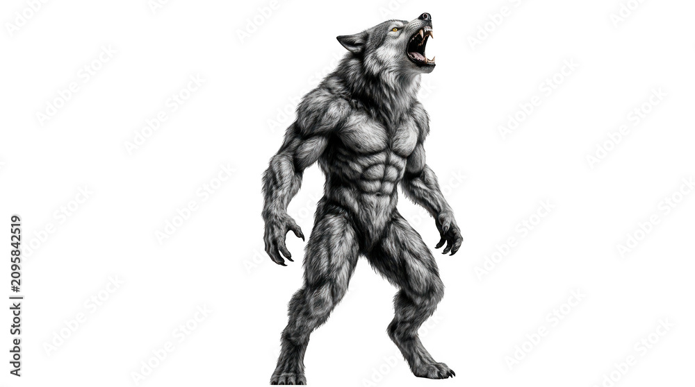 Fototapeta premium Muscular werewolf standing in aggressive pose isolated on transparent background