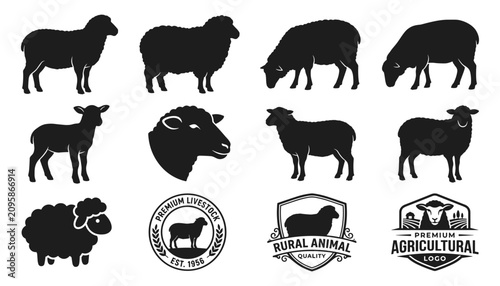 Fotografía Sheep and Lambs in Various Poses and Logos for Agricultural Branding Featuring S