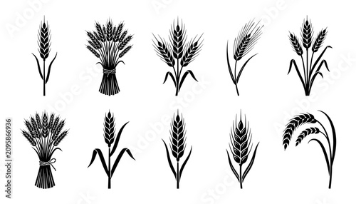 Foto Wheat Illustrations in Various Styles and Arrangements Featuring Grain, Illustra