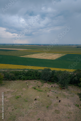 A massive, powerful summer storm looms over vast fields