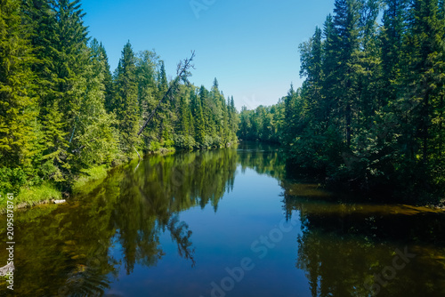 Picturesque taiga landscape by the river