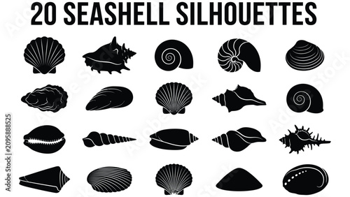 Obraz na płótnie Blackandwhite illustration of various seashell silhouettes on white background