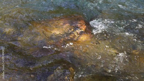 Live video showing side and overhead views of a small river flowing over an underwater brown rock jutting out to the surface. Fill-in nature footage or B-roll with sound