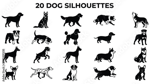 Fotografie Set of twenty different dog breeds in silhouette form  various poses and sizes
