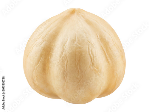 Single Peeled Hazelnut Kernel Isolated on Transparent Background – Premium Raw Nut Macro Close-Up