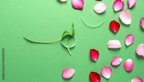 Delicate Green Sprout and Scattered Rose Petals on Vibrant Green Background.