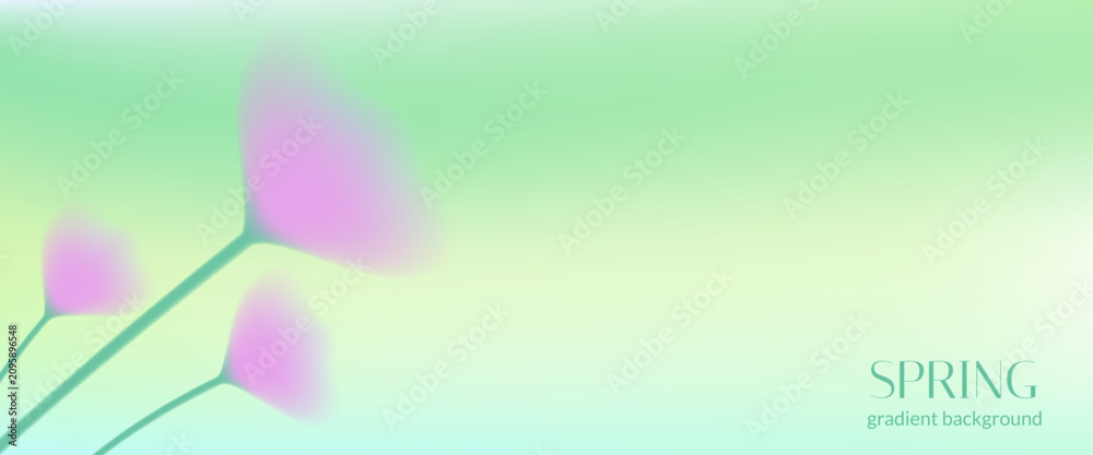 Obraz premium Gradient flower background with soft spring blur for beauty card and wellness banner. Pastel floral abstract backdrop in green grass with mint pink shadow. Gradient flower vector bg for spa poster