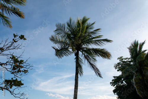 Panoramic view of Rodrigo de Freitas Lagoon - Rio de Janeiro, Brazil