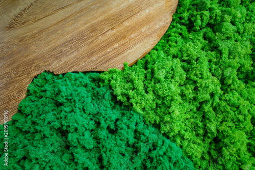 Green Preserved Moss Texture with Natural Wood Background for Eco Interior Design