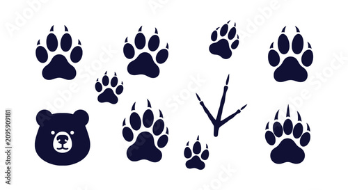 Foto Collection of bear paw prints and animal tracks including grizzly bear head silhouette icon vector
