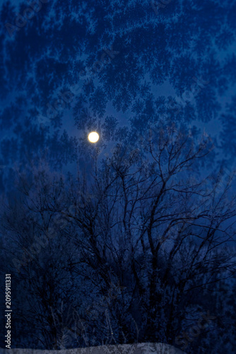 Quadro su tela Tonight, let us trace the memories of the freezing moon