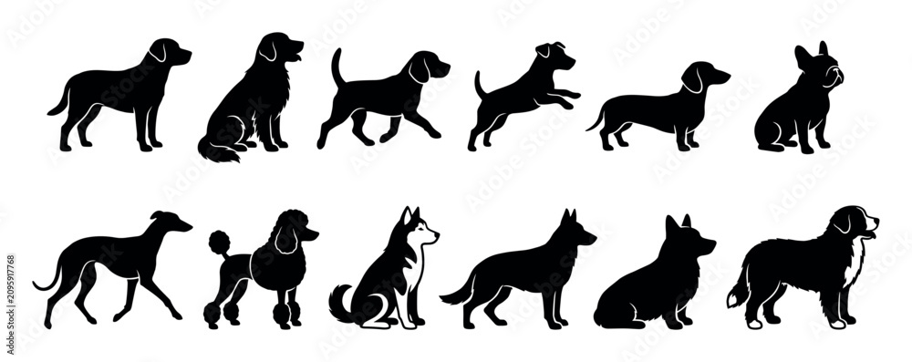 Obraz premium Collection of black dog silhouettes featuring various popular breeds like retrievers, poodles, and huskies in different poses such as sitting, standing, walking, and jumping