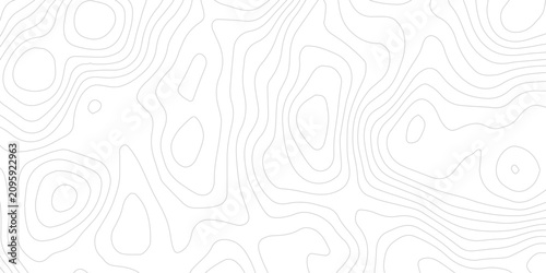 Schilderij op canvas Elegant Topographic Map Pattern with Smooth Contour Relief Lines and White Paper