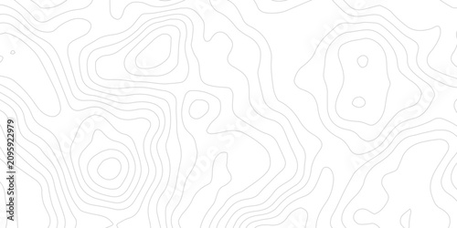 Canvastavla Abstract Contour Map Relief Land Outline with Flowing Topographic Lines and Whit